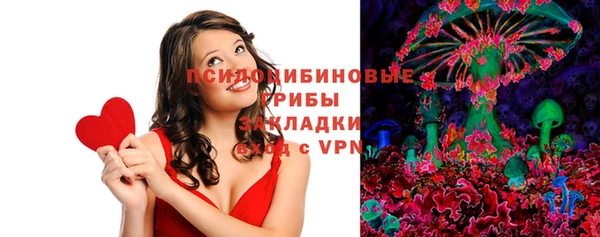 mdpv Новодвинск
