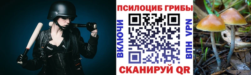 сайты даркнета наркотические препараты  Петухово  Галлюциногенные грибы MAGIC MUSHROOMS 